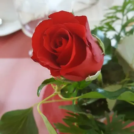 Gasthuis Waldfrieden